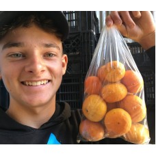 SPRAY FREE ENCORE MANDARINS  1 KG Bag  Katikati Grown